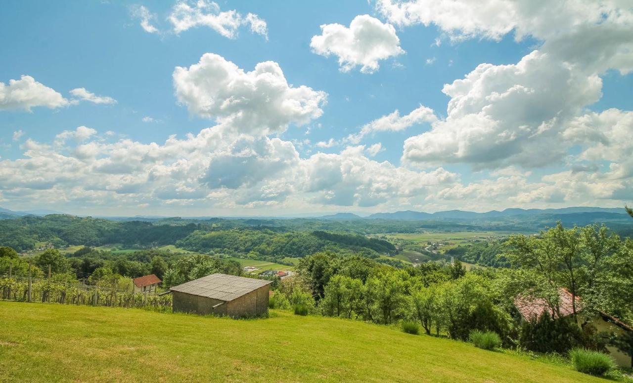 Holiday Home Bor بوتْشيترتيك المظهر الخارجي الصورة